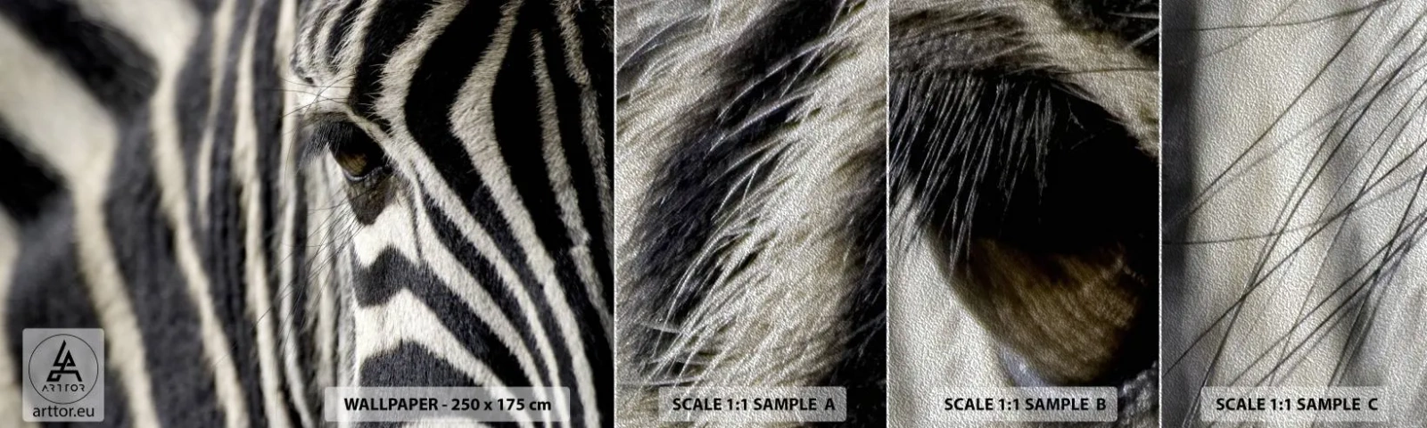 Fotótapéta Minta Premium Sand - Csíkos portré - Állatok, Borda, Afrika - 100x30 cm