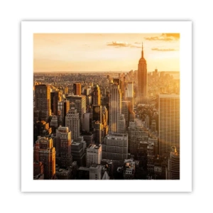 Poszter - Növekedni a napon - 50x50 cm