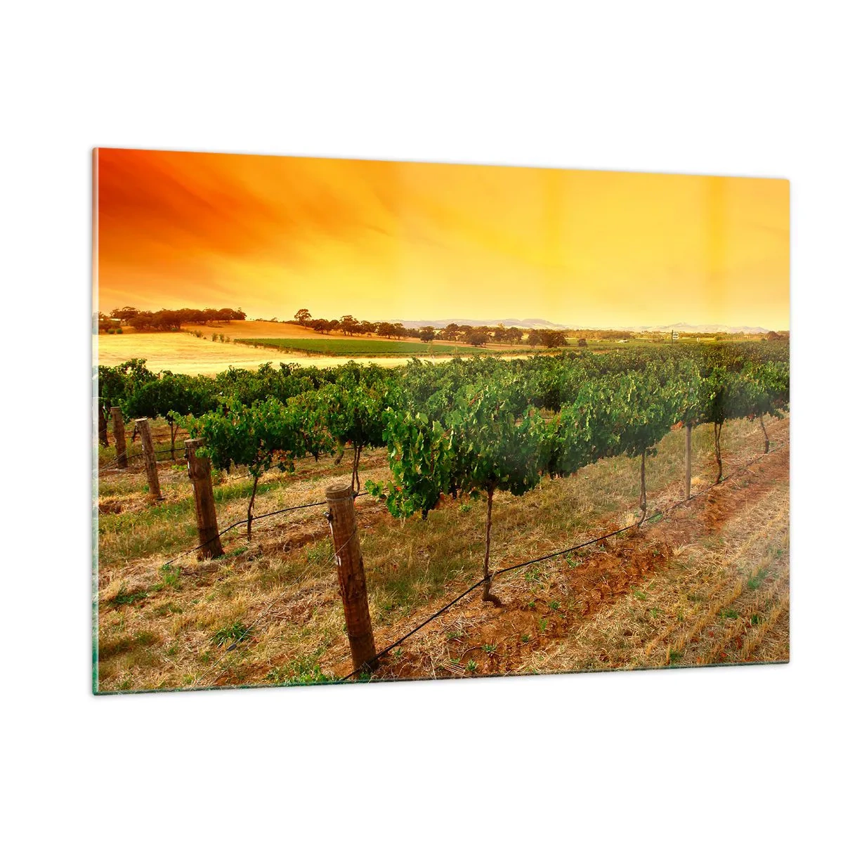 Üveg kép - Inni a napot - 120x80 cm