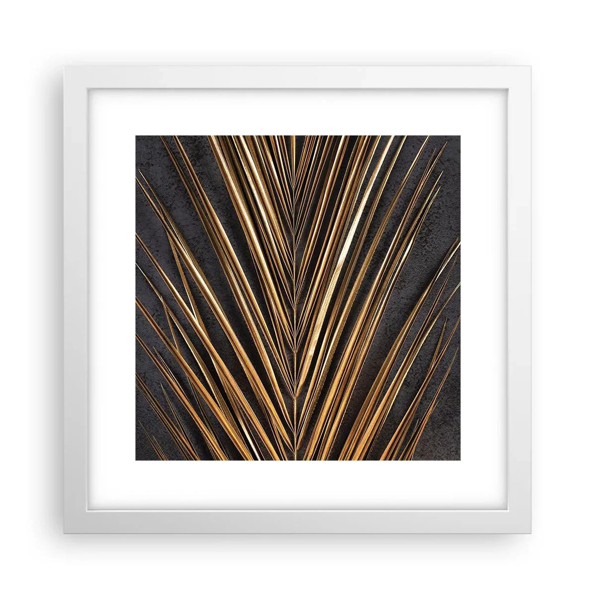 Poszter fekete keretben - A trópusok aranya - 30x30 cm