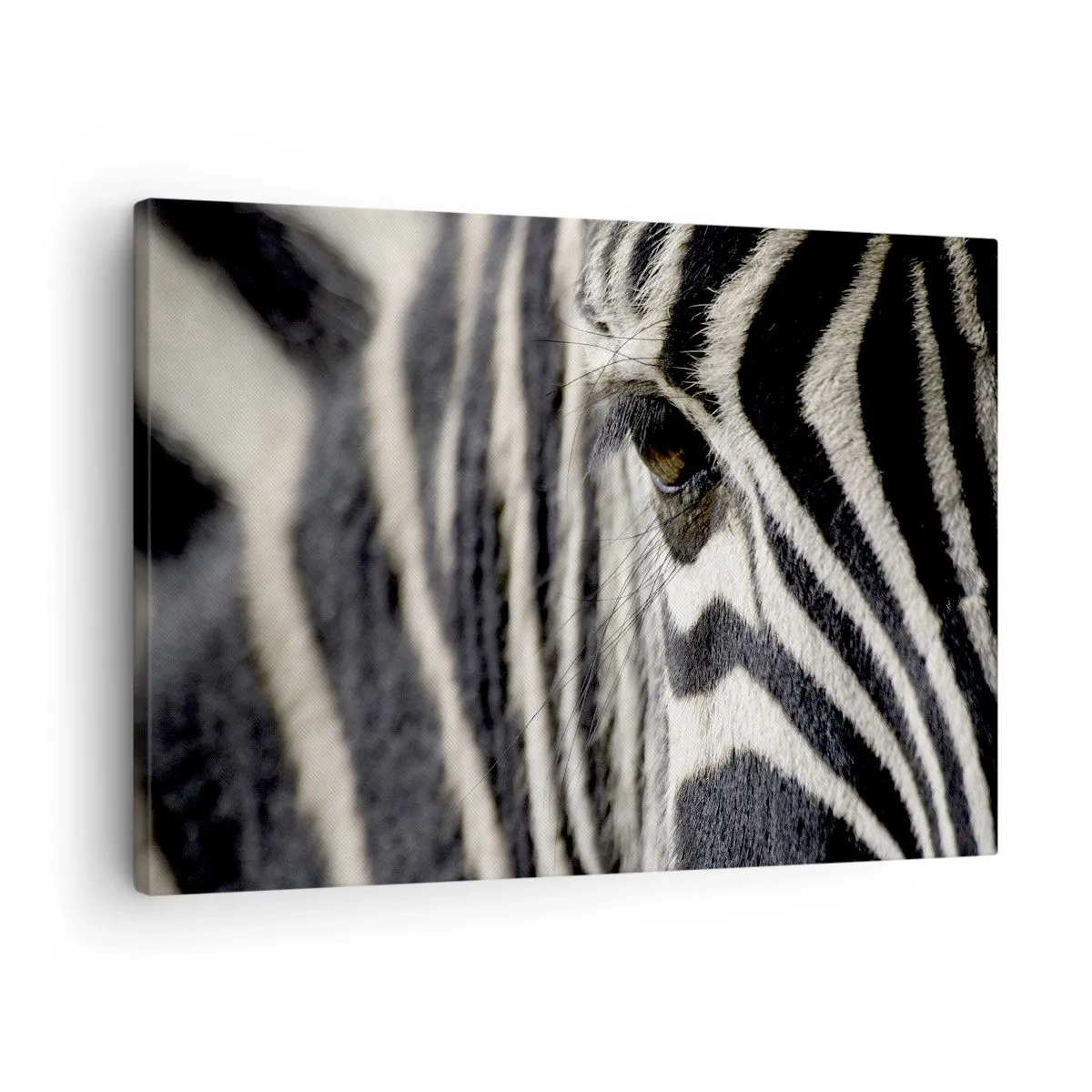 Vászonkép - Közeli kép egy zebra szeméről fekete-fehér csíkokkal - 70x50cm - Csíkos portré - Modern fali dekoráció nappalihoz és hálószobához ARTTOR