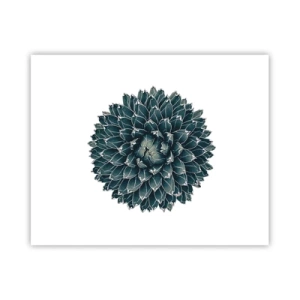 Poszter - A sivatag csillaga - 50x40 cm