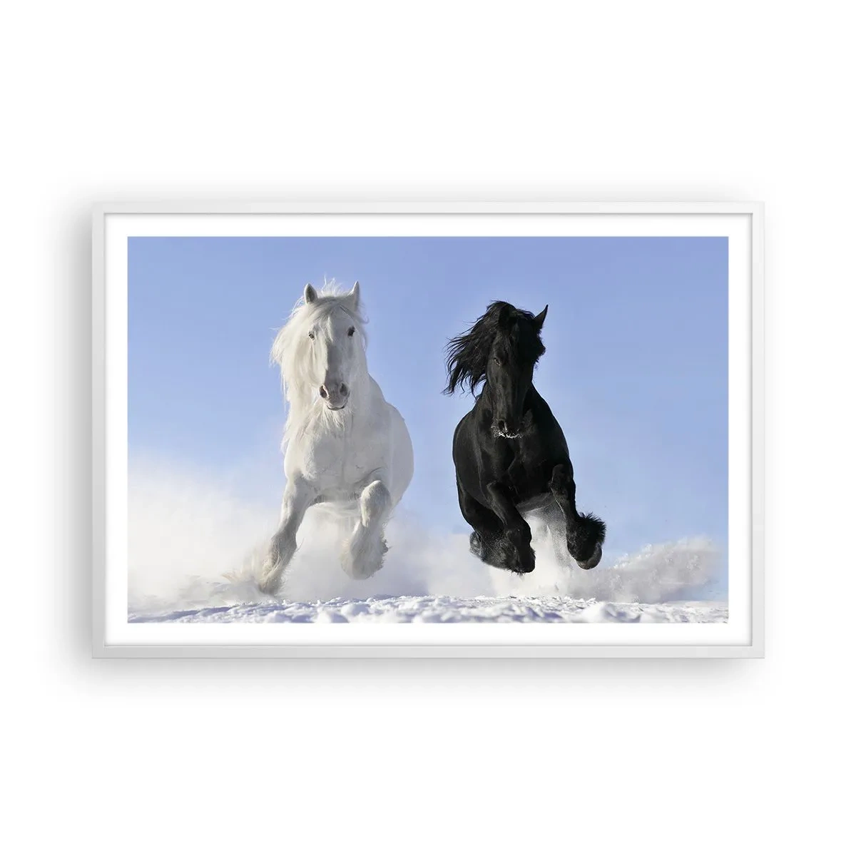 Poszter fekete keretben - Fekete-fehér galopp - 91x61 cm