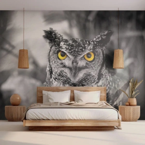 Fotótapéta Premium Sand - Semmi sem fog elbújni - Madarak, Bagoly, Természet - 100x70 cm