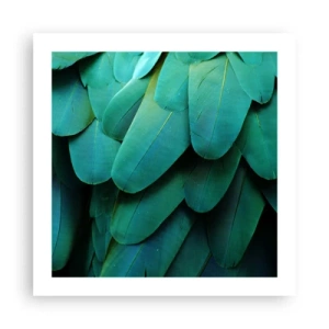 Poszter - A papagájtermészet precizitása - 50x50 cm