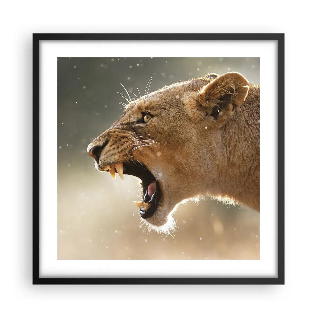 Poszter fehér keretben - Próbálj meg nem hallgatni - 50x50 cm