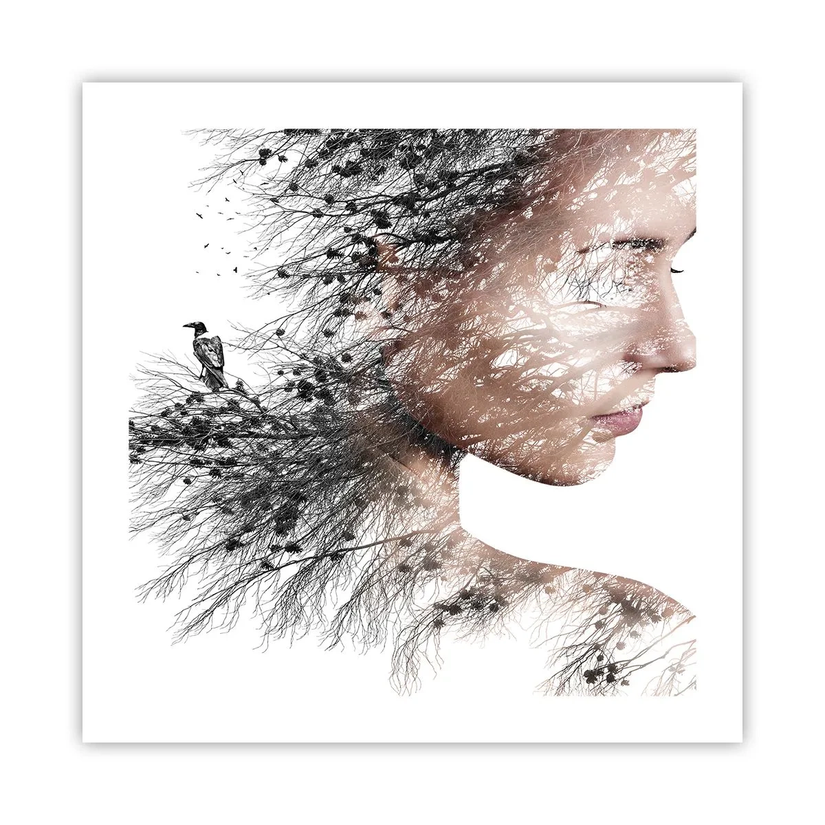 Poszter - Az erdő szelleme - 50x50 cm