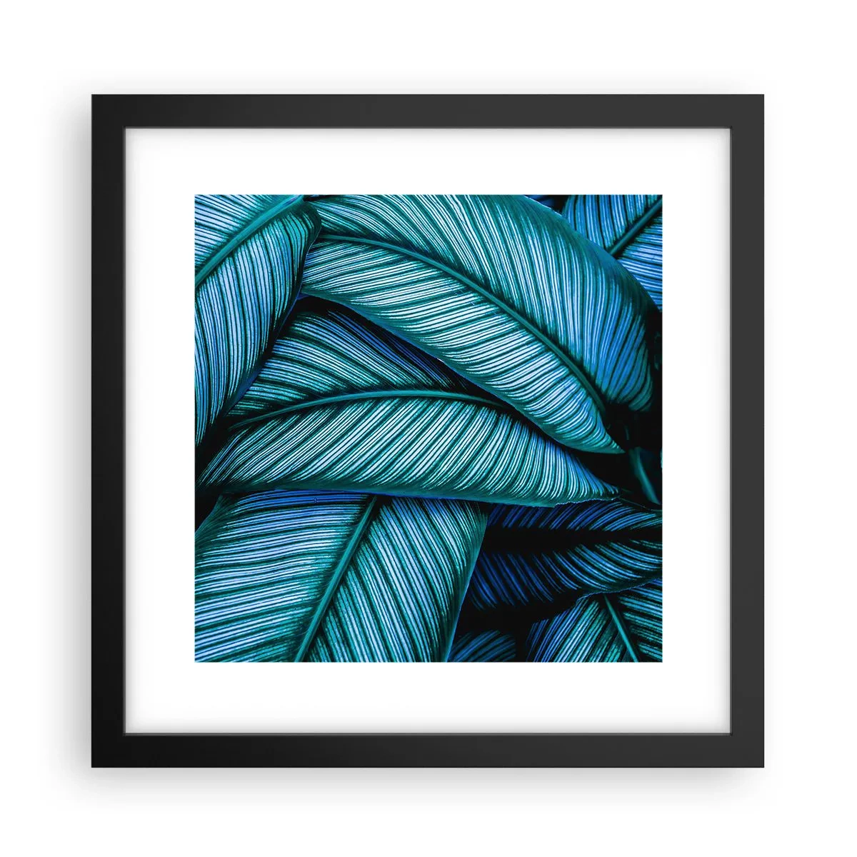 Poszter fehér keretben - Életvonalak - 30x30 cm