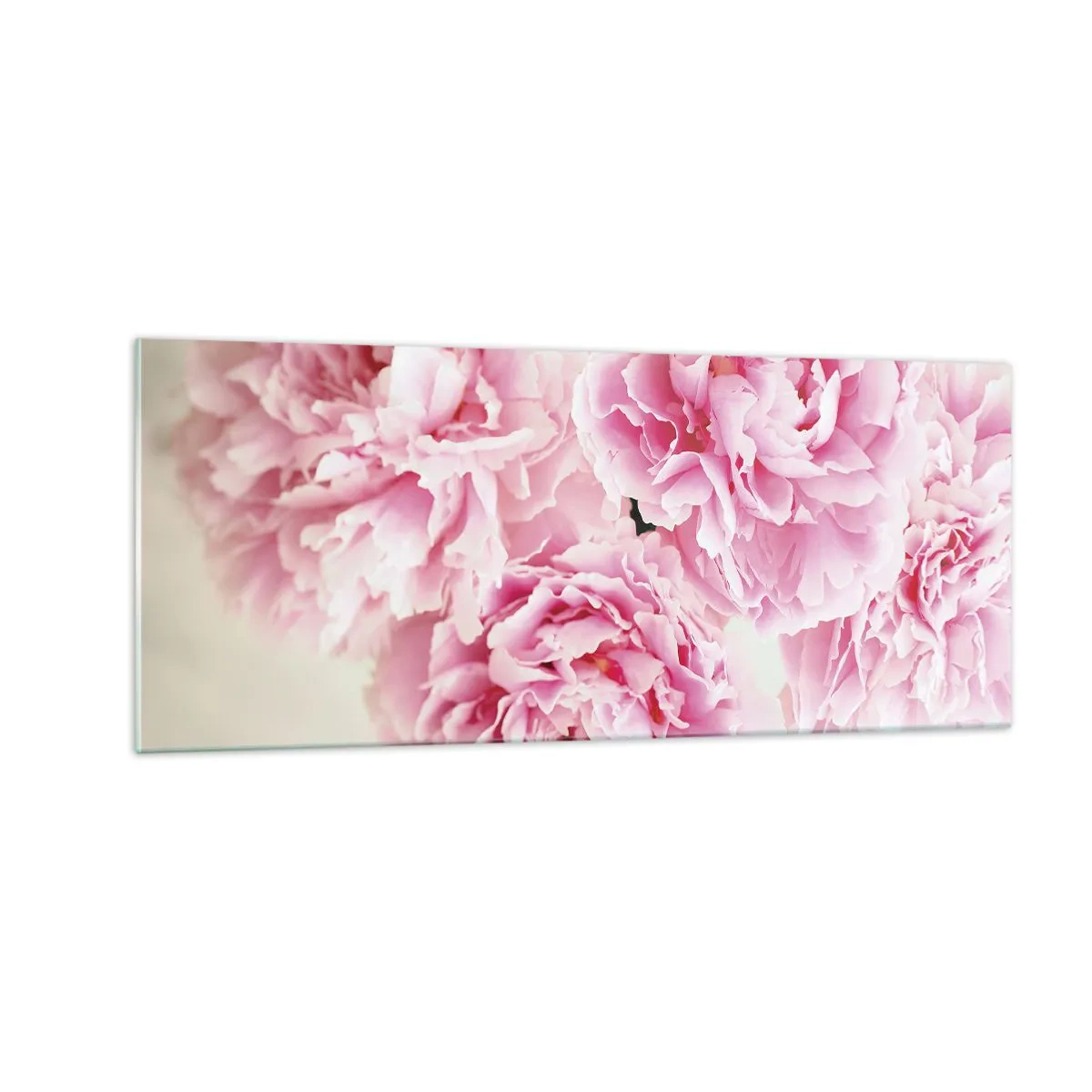 Üveg kép - Rózsaszín pompában - 100x40 cm