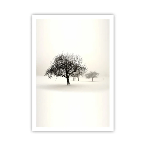 Poszter - Téli álom - 70x100 cm