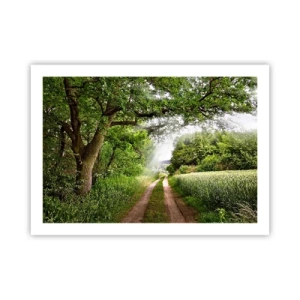 Poszter - Et in Arcadia ego - 70x50 cm