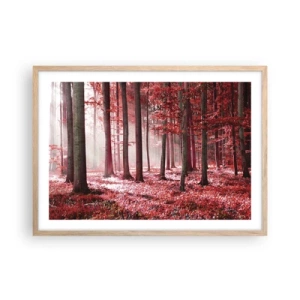 Poszter világos tölgy keretben - A piros különösen szép - 70x50 cm