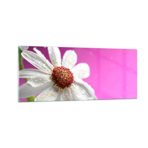 Üveg kép - A Szépségében szerény - 100x40 cm