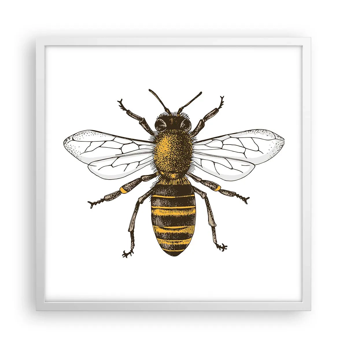 Poszter fekete keretben - Gyönyörű és jó - 50x50 cm