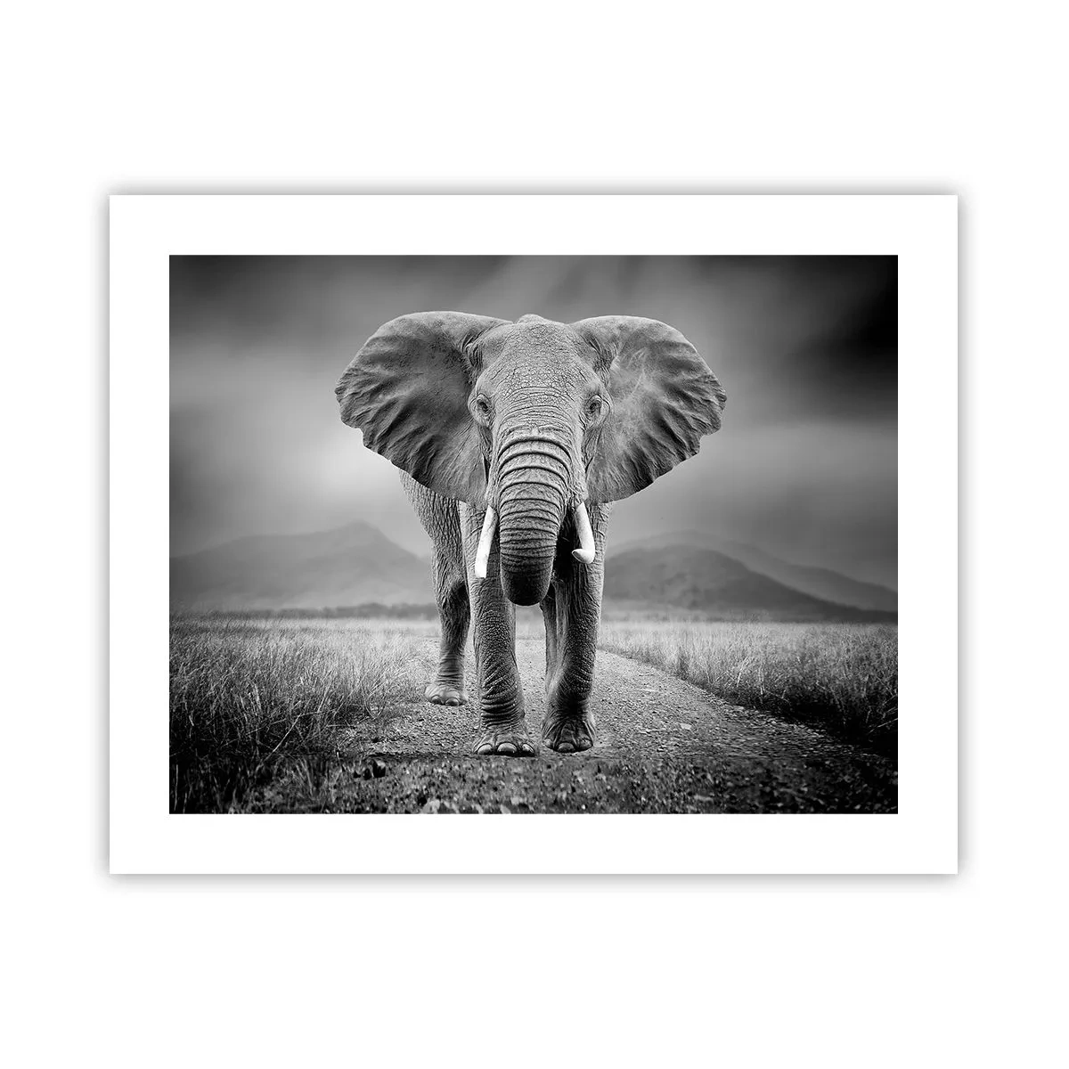 Poszter - A házigazda üdvözli - 50x40 cm