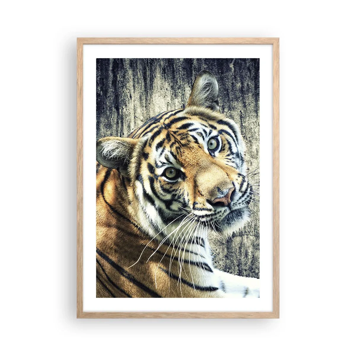 Poszter világos tölgy keretben - Portré a fénysugárban - 50x70 cm