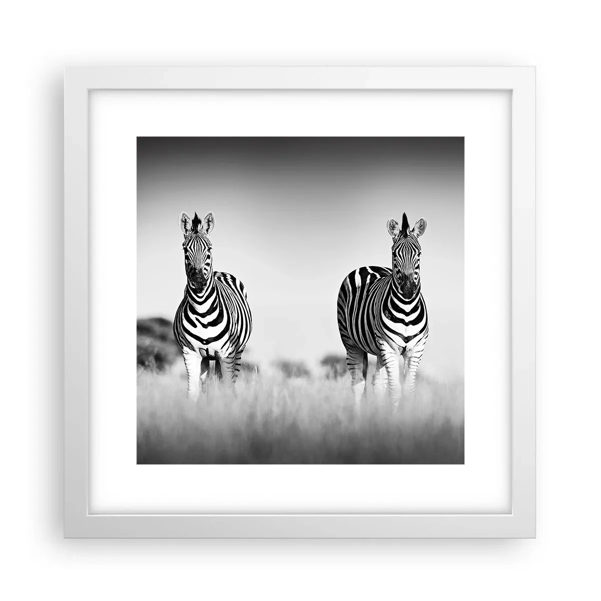 Poszter fekete keretben - A világ mégis fekete-fehér - 30x30 cm