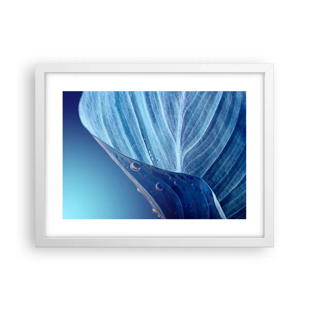 Poszter fekete keretben - A kék rejtett cseppjei - 40x30 cm