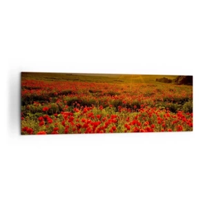 Vászonkép - Susogó rétek hullámai között, a virág özön között - 160x50 cm