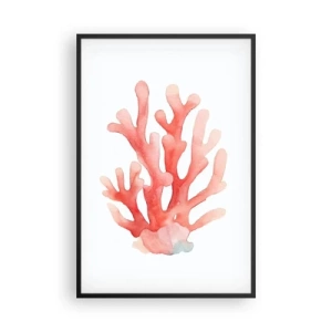 Poszter fehér keretben - A korall színe - 61x91 cm