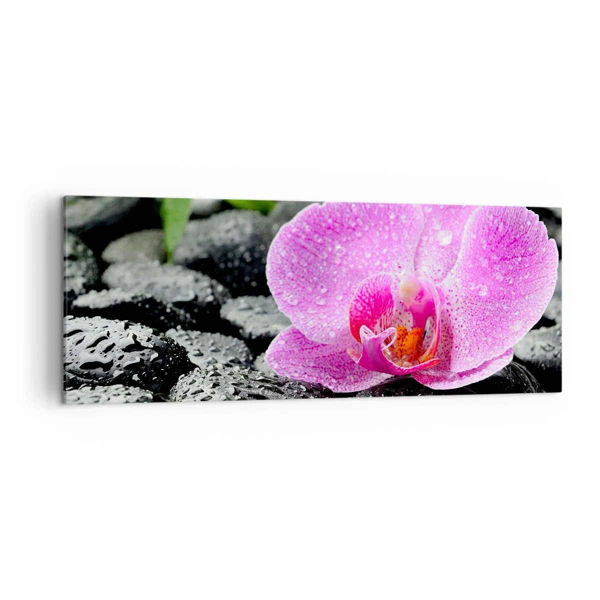 Vászonkép - Mint egy nyitott szív - 140x50 cm