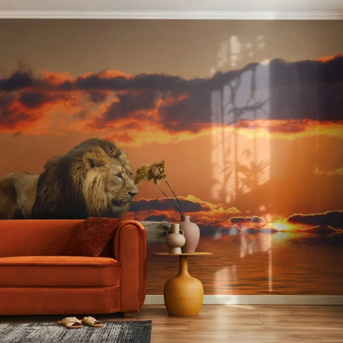 Fotótapéta Premium Canvas - A természet királya - Oroszlán, Napnyugta, Állatok - 400x280 cm