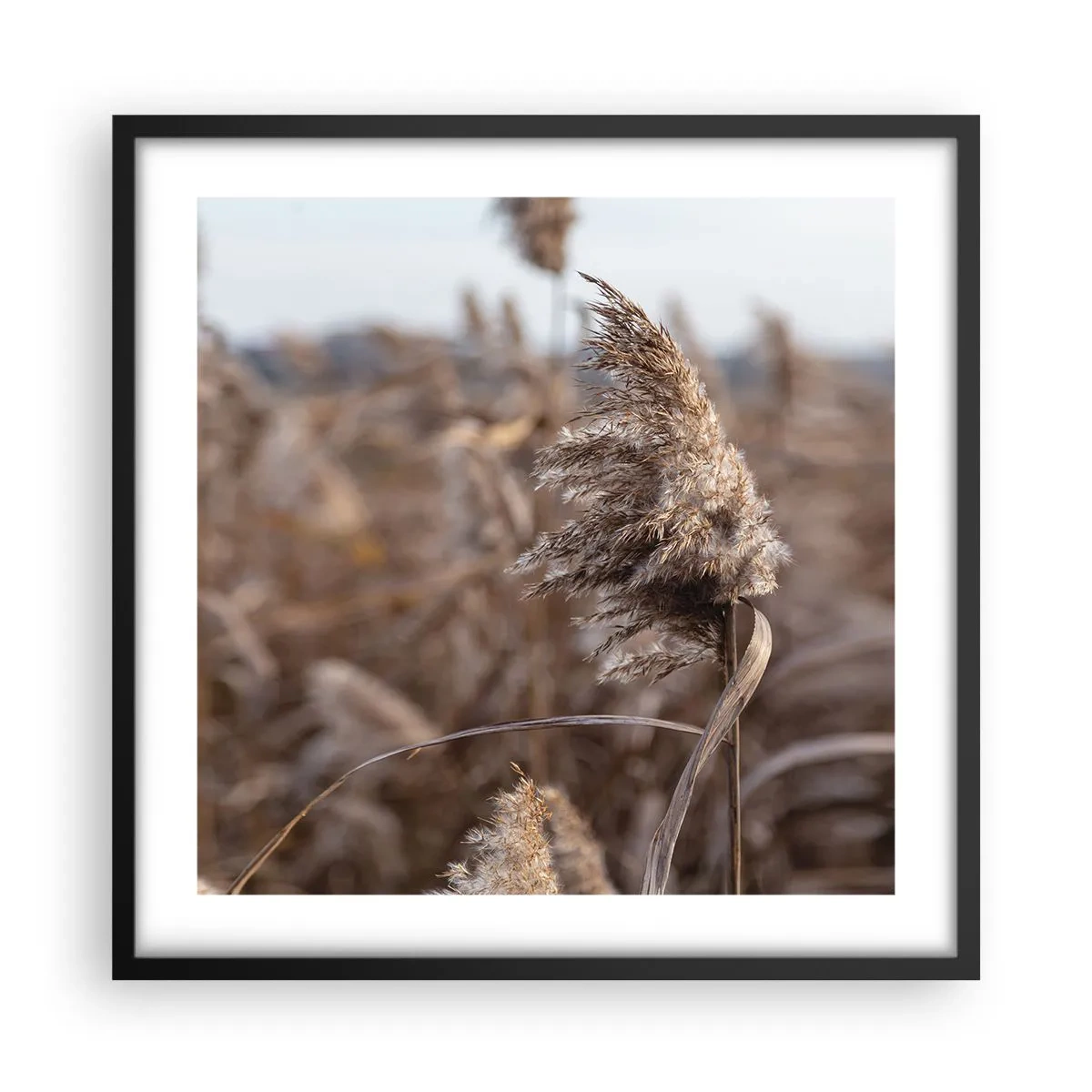 Poszter fehér keretben - Ideje elrepülni a széllel - 50x50 cm