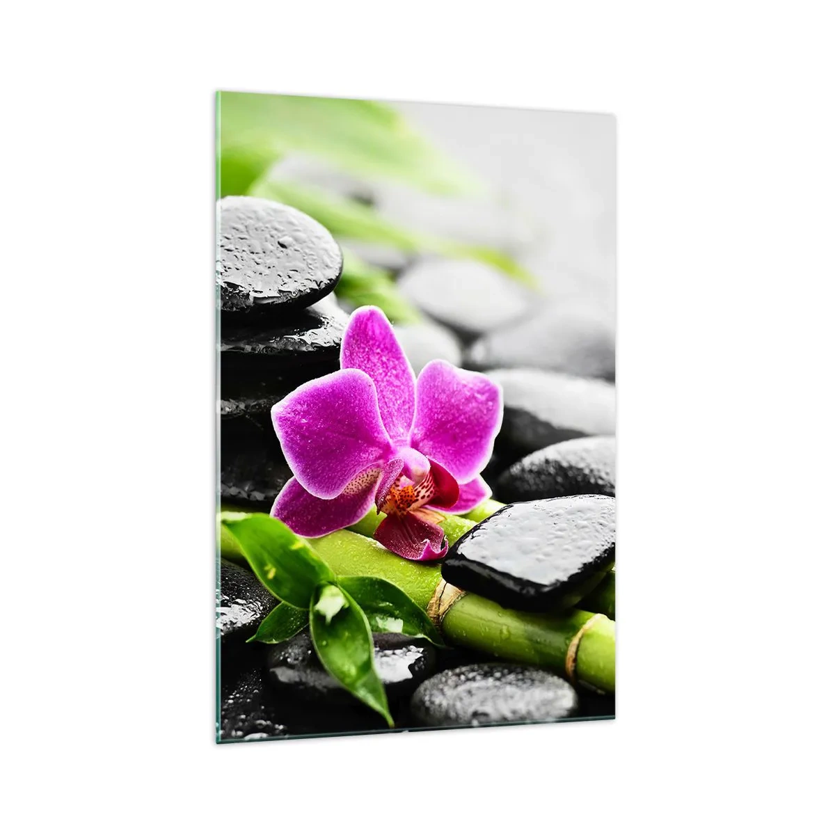 Üveg kép - Nyugodt egyensúlyban - 70x100 cm