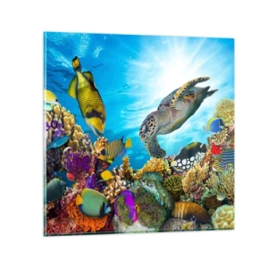 Üveg kép - Korall sétány - 70x70 cm