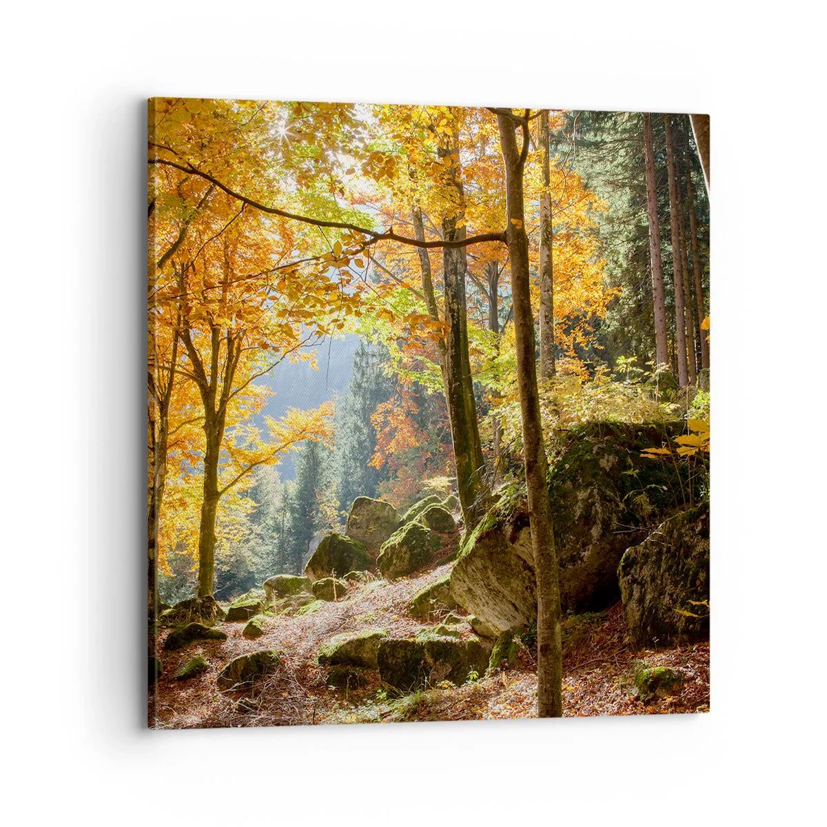 Vászonkép - Itt az ideje a pihenésnek - 70x70 cm