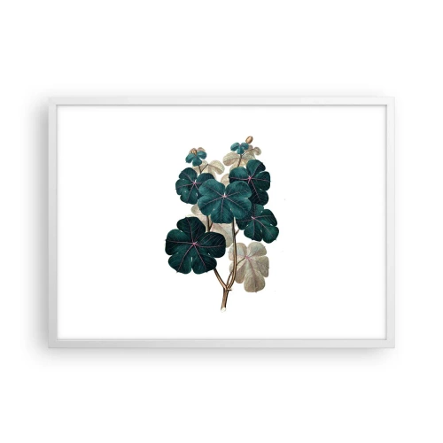 Poszter fekete keretben - Egy régi herbáriumból - 70x50 cm
