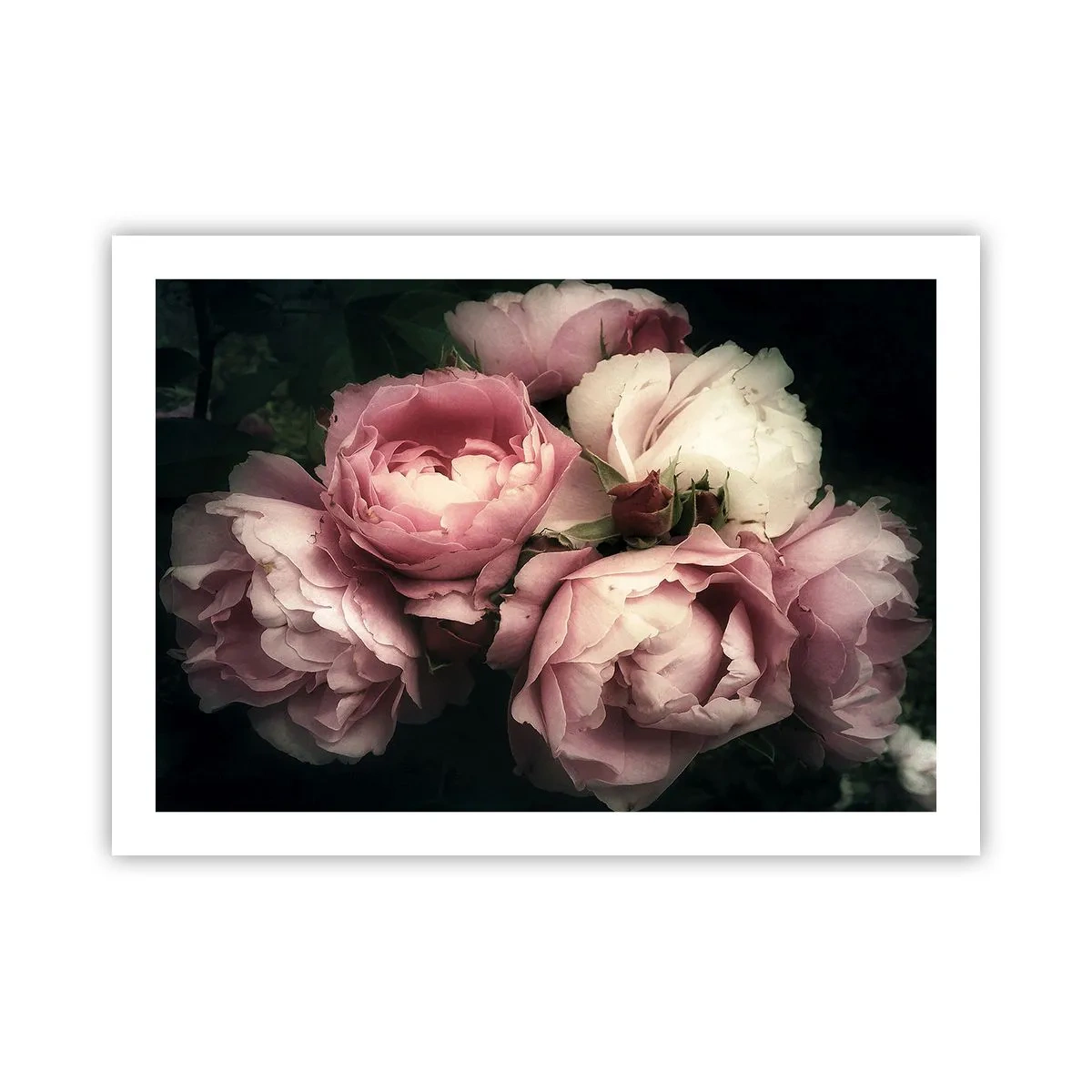 Poszter - Belle epoque varázs - 70x50 cm