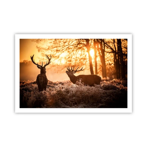 Poszter - Vadász álma - 91x61 cm