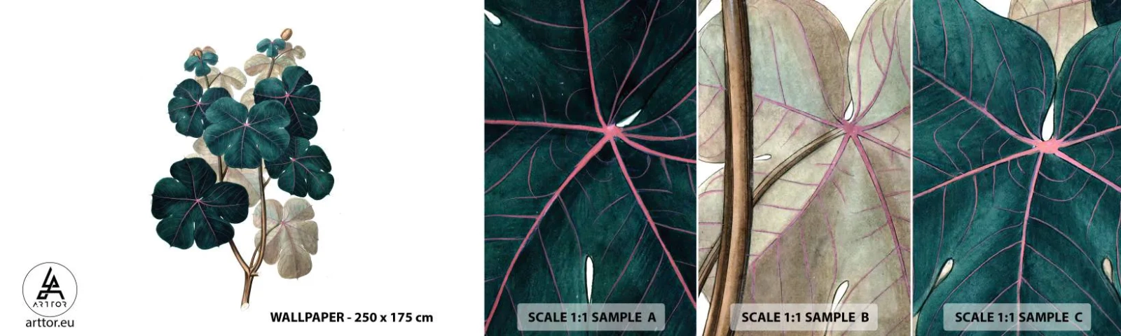 Fotótapéta Minta Standard Eco - Egy régi herbáriumból - Növény, Levelek, Növénytan - 100x30 cm