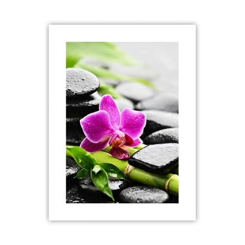 Poszter - Nyugodt egyensúlyban - 30x40 cm