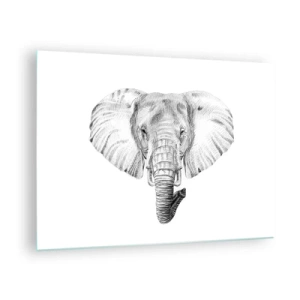 Üveg kép - Fekete-fehér rajz egy elefánt fejéről fehér alapon - 70x50cm - "Volt egy elefánt, akkora, mint egy - elefánt” - Modern fali dekoráció nappalihoz és hálószobához ARTTOR