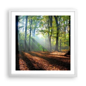 Poszter fekete keretben - Ragyogások és árnyékok - 50x50 cm