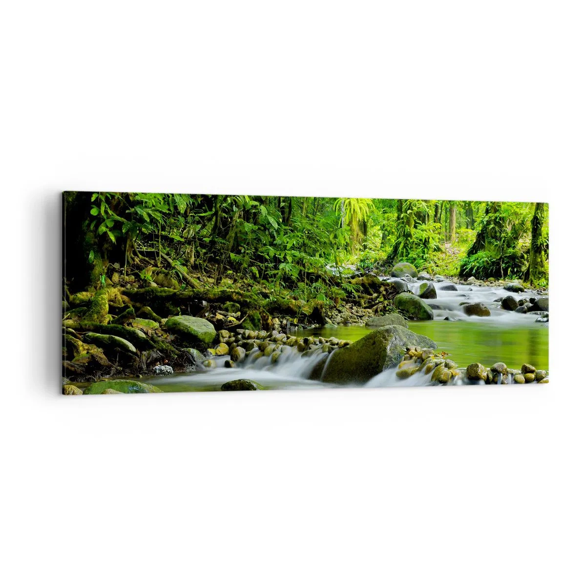 Vászonkép - Úszni a zöld tengerében - 140x50 cm