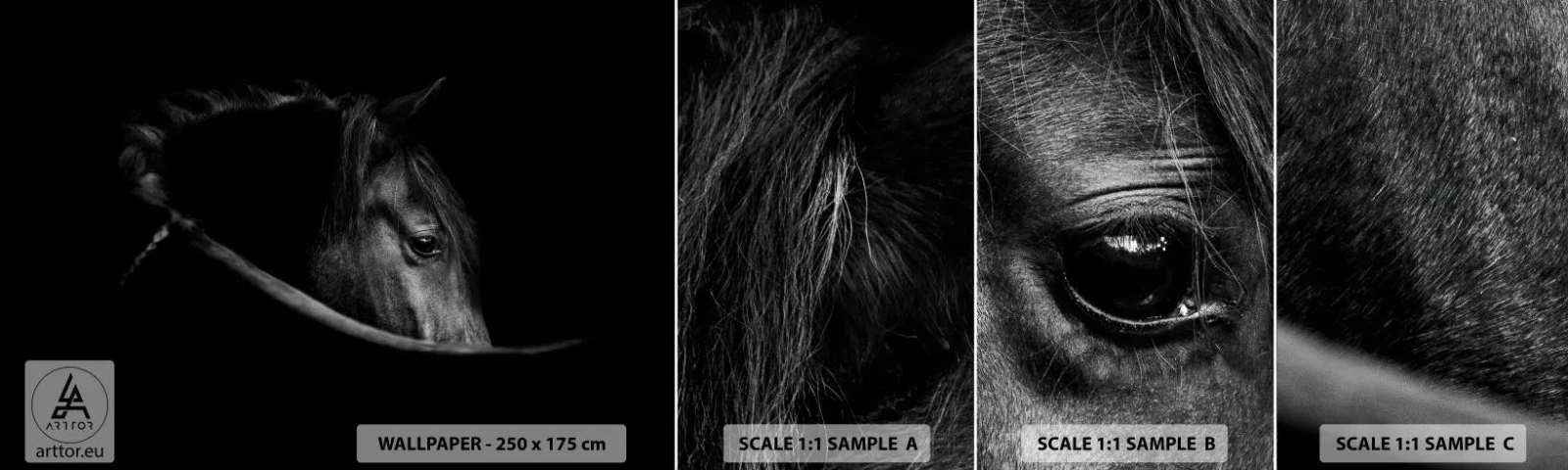 Fotótapéta Minta Öntapadós Deluxe Sticker - Fekete herceg - Ló, Állat, Művészeti - 100x30 cm