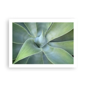 Poszter - A zöld születése - 70x50 cm