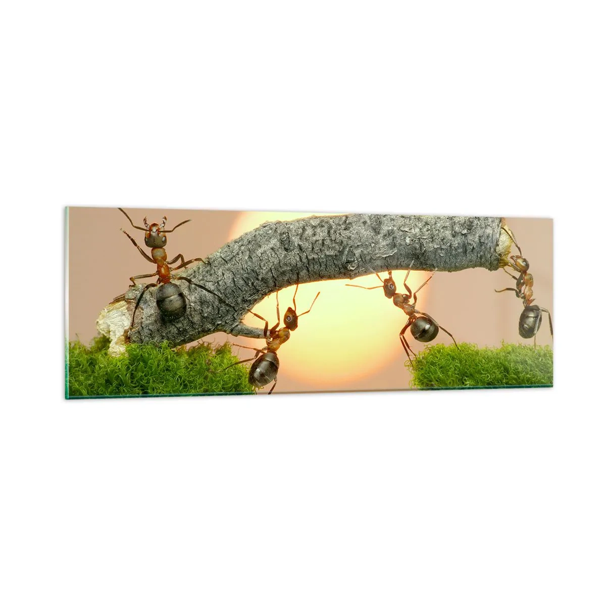 Üveg kép - Boldog, közös munka - 90x30 cm