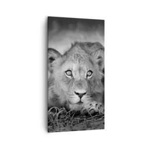 Vászonkép - Királyi kölyök - 55x100 cm