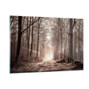 Üveg kép - Erdei katedrális - 120x80 cm