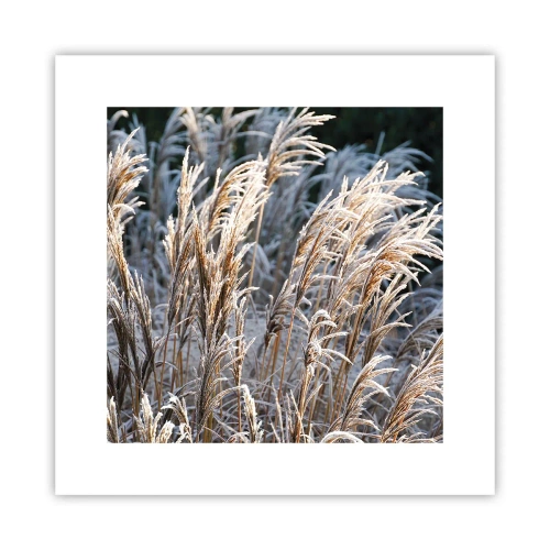 Poszter - Zúzmarába öltözött - 30x30 cm