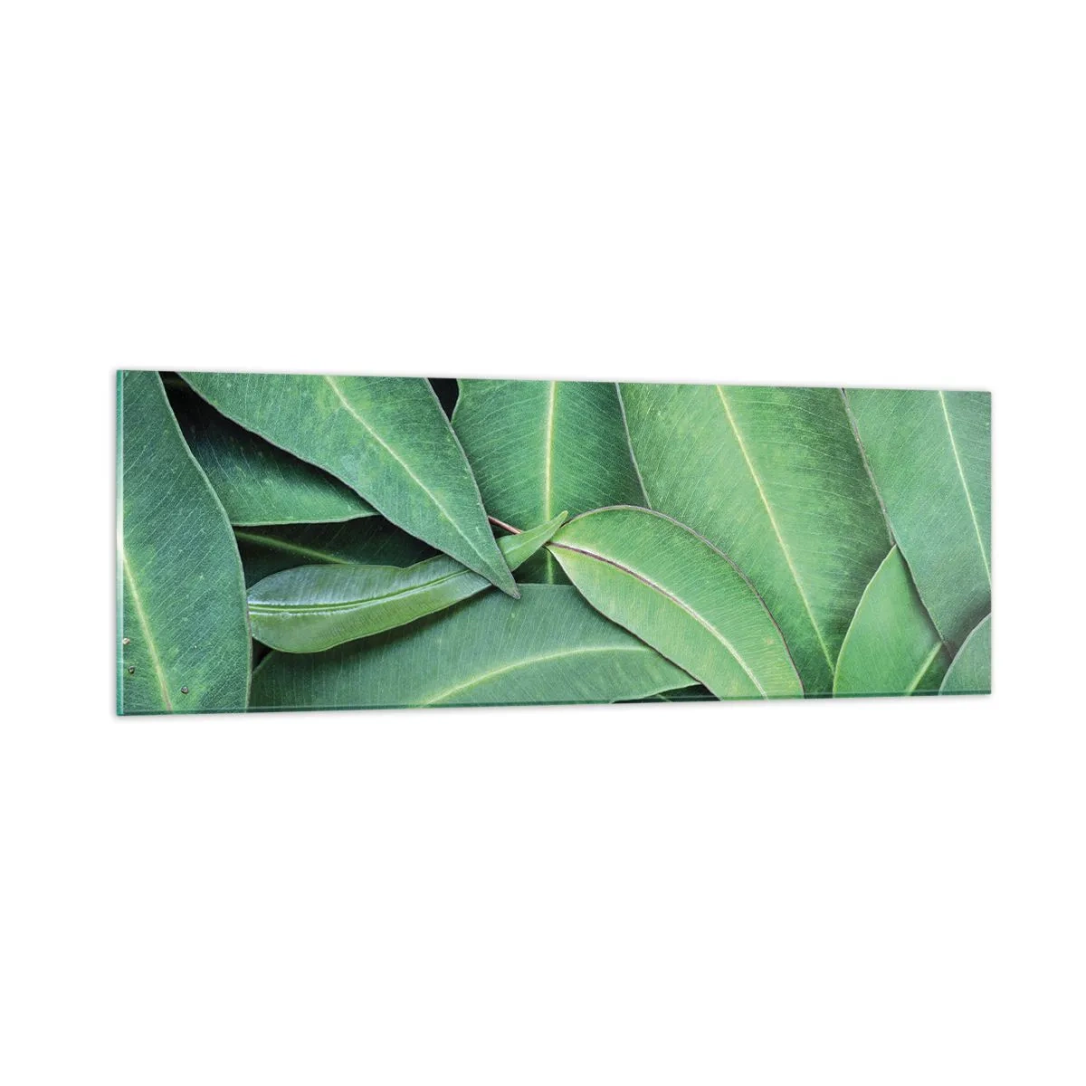 Üveg kép - Lédús és friss - 90x30 cm