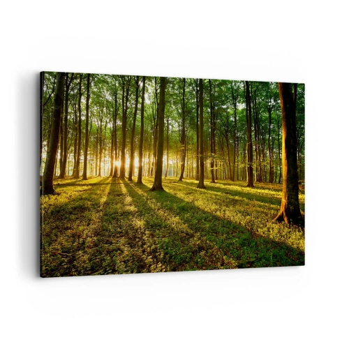 Vászonkép - Minden tavasz fotója - 120x80 cm