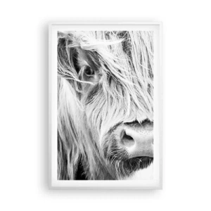 Poszter fekete keretben - Skót vadság - 61x91 cm