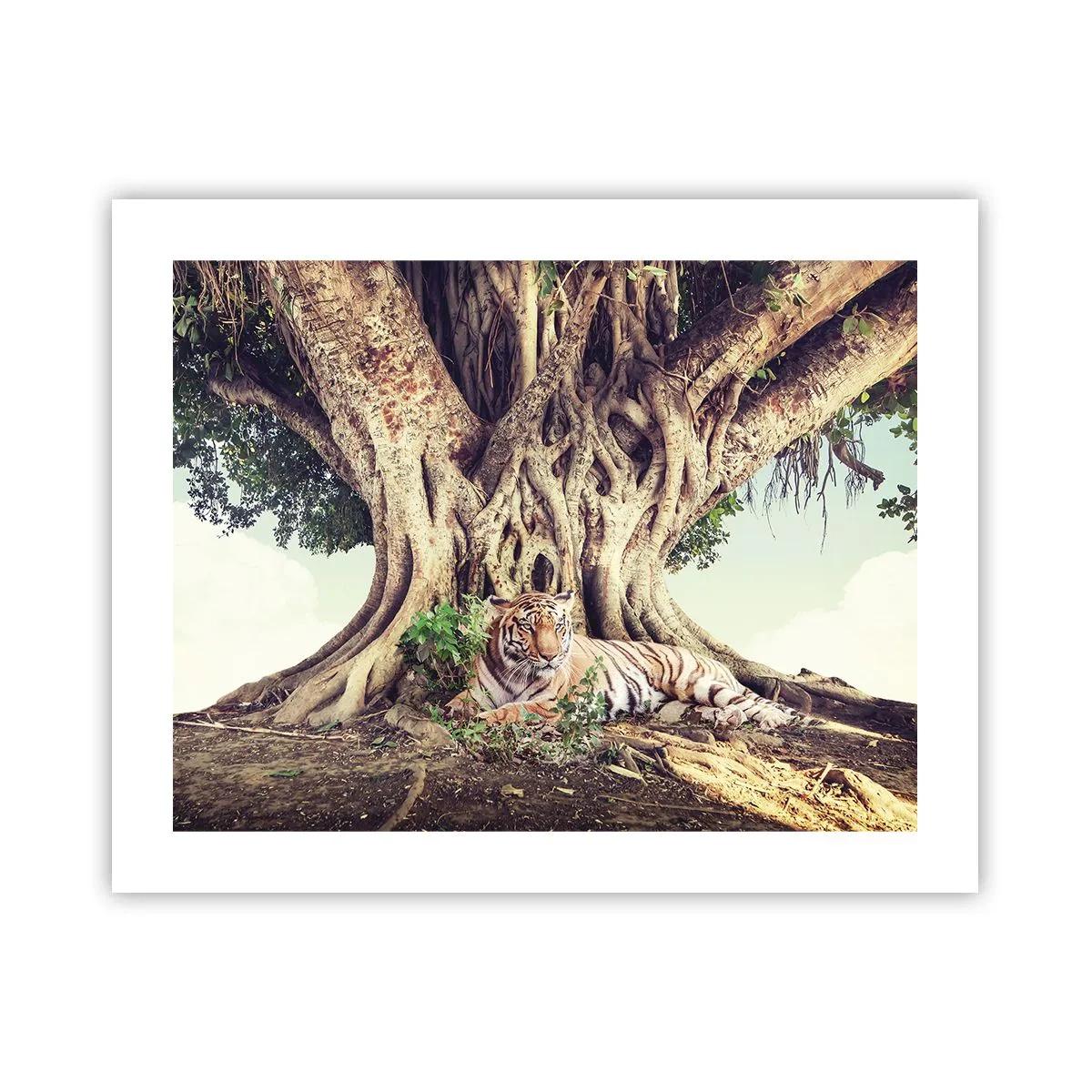 Poszter - Kilátás a Genezis könyvéből - 50x40 cm