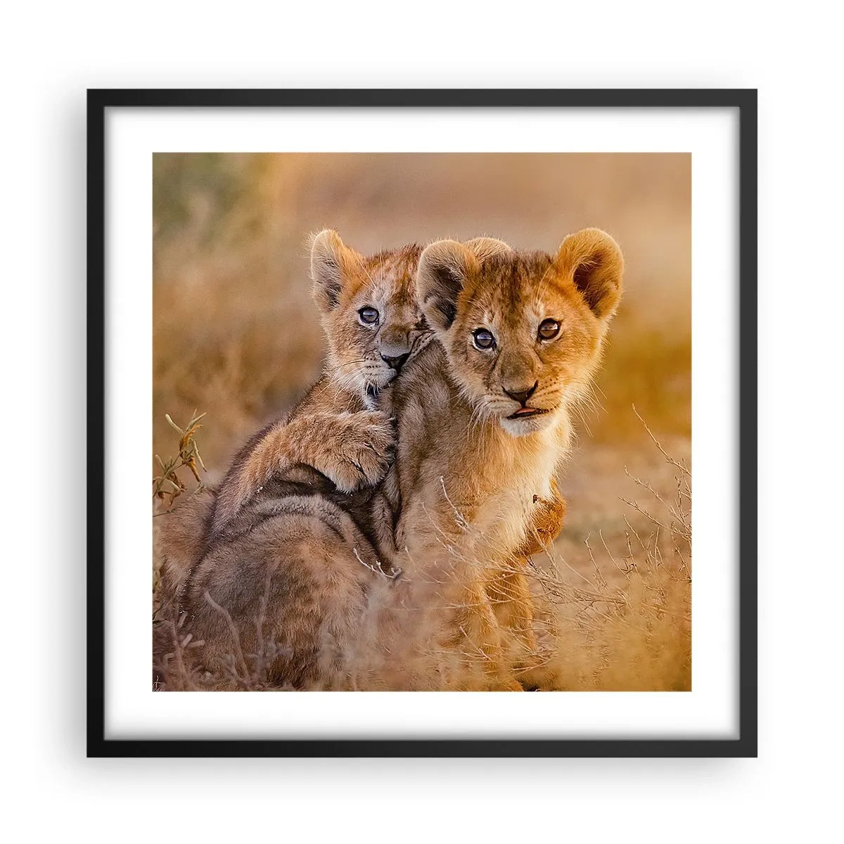 Poszter fehér keretben - Ne zavarni! Szórakozunk - 50x50 cm