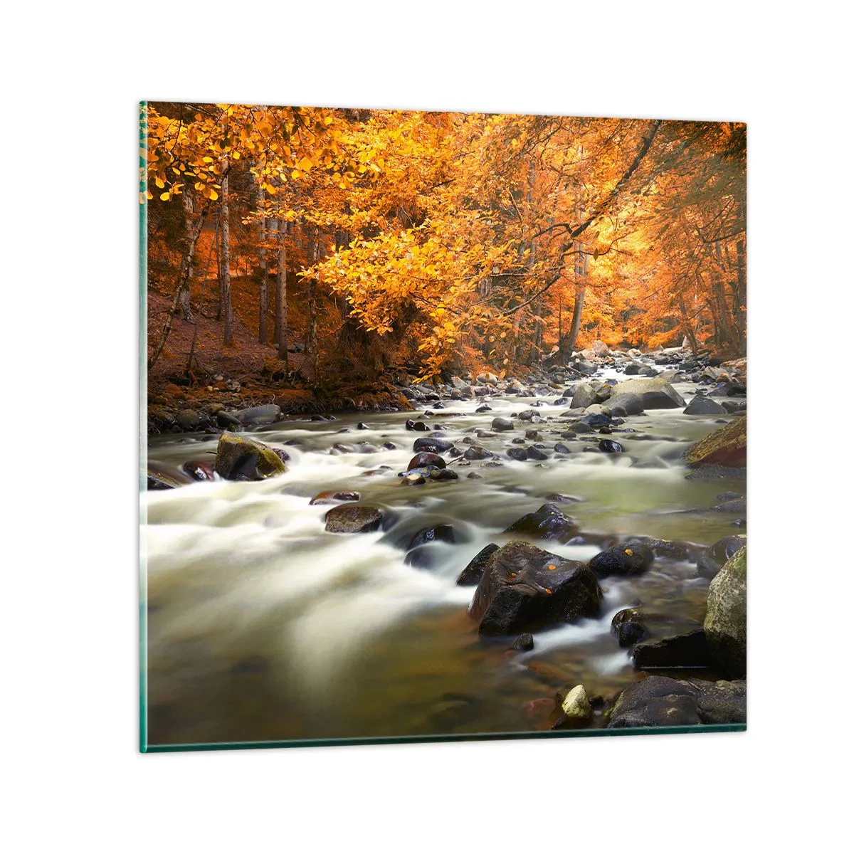 Üveg kép - Egy patak az aranyerdőben - 70x70 cm